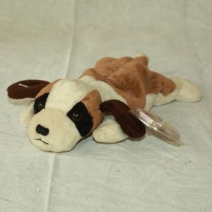 Bernie the St. Bernard